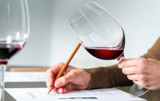 Sommelier evaluating red wine.