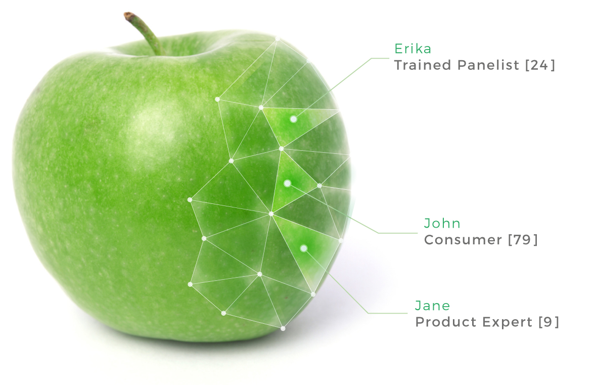 Apple with attribute evaluation by panellists