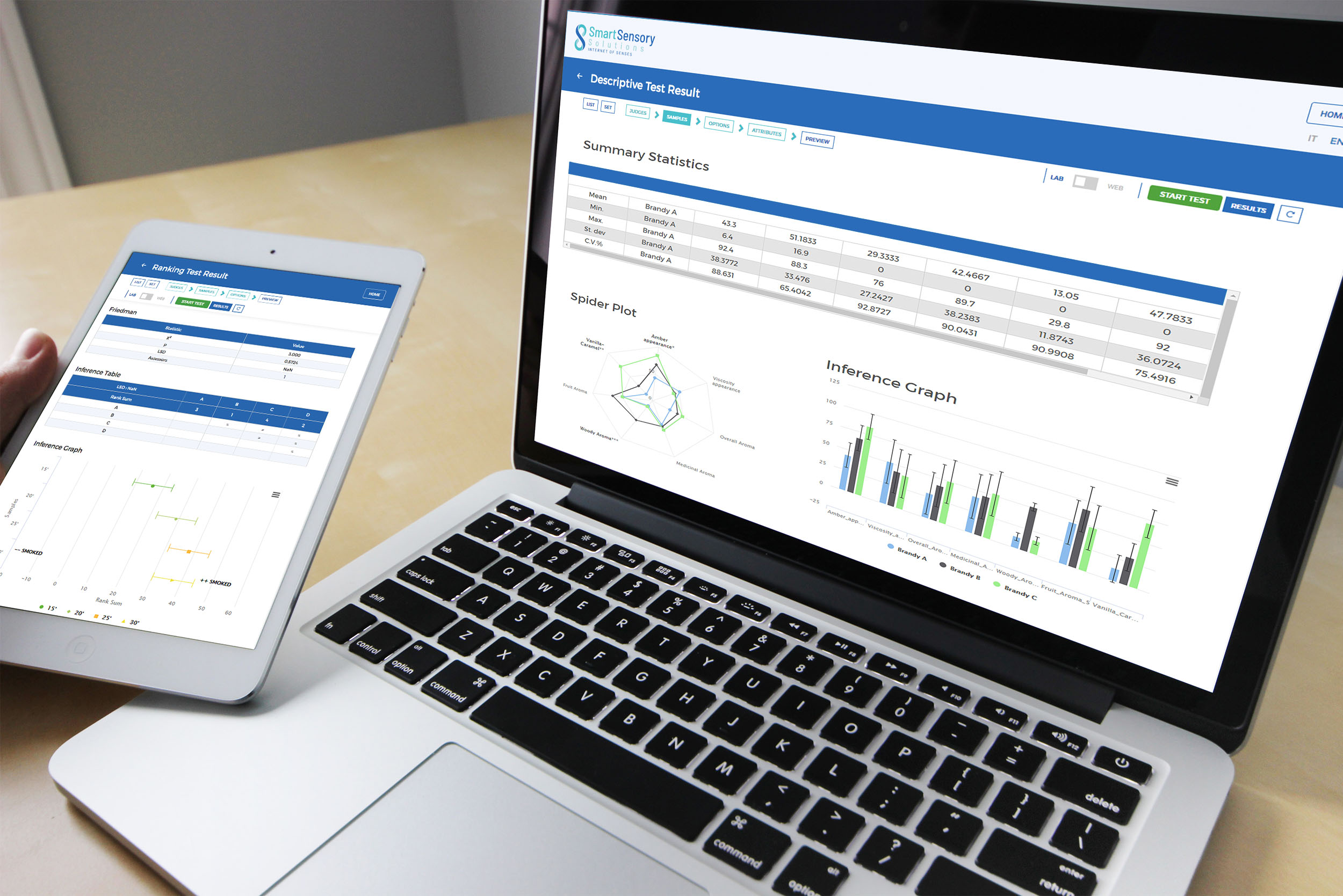 undestand-925900B Reviewing statistical data on laptop