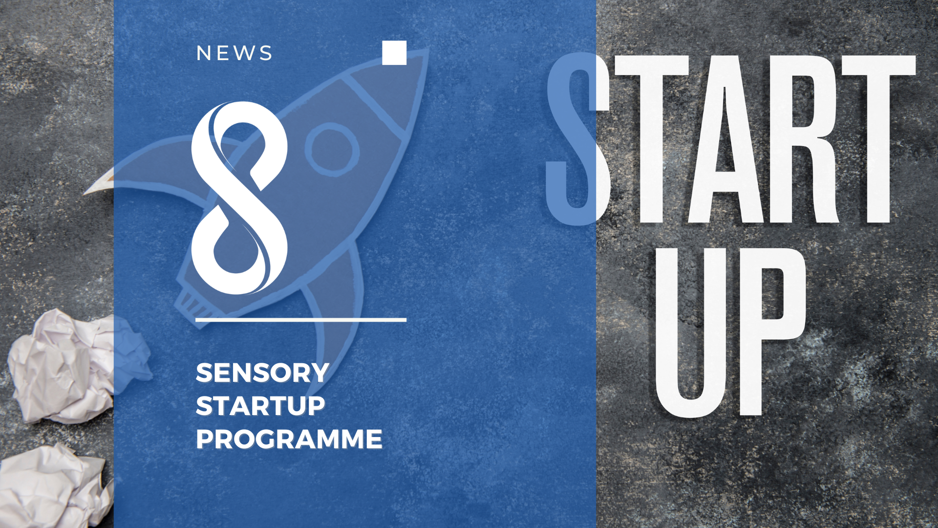 sensory startup programme