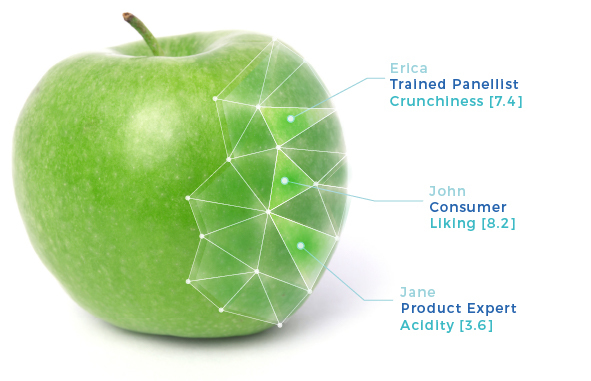 Apple with attribute evaluation by panellists